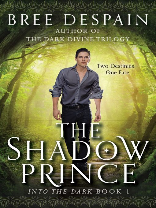 The Shadow Prince Into the Dark Series, Book 1